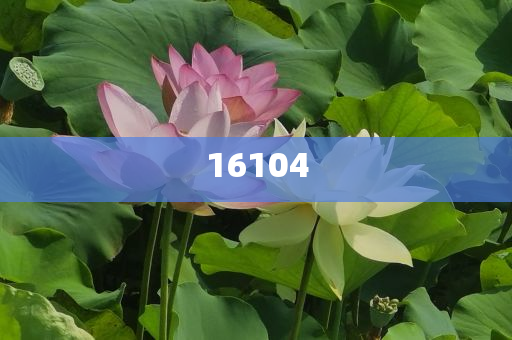 新奧600圖庫2025，探索與前瞻，新奧600圖庫2025，深度探索與未來展望
