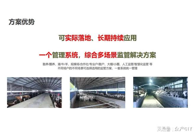 探索新澳芳草地，正版資料的免押之旅（2025年最新資訊），探索新澳芳草地，正版資料免押之旅（最新資訊）