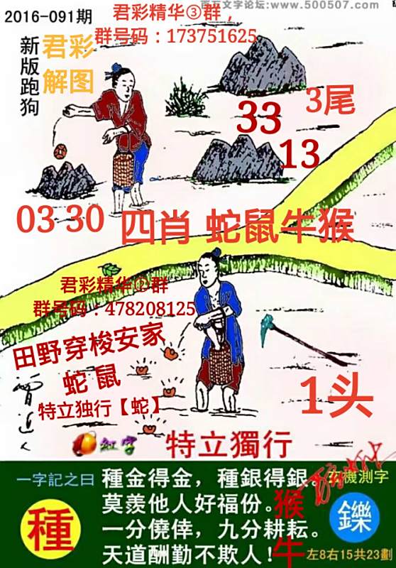 揭秘7777788888精準(zhǔn)新跑狗圖，全方位解讀其背后的秘密，揭秘新跑狗圖7777788888，全方位解讀背后的真相與秘密
