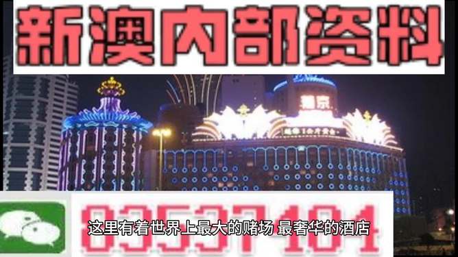 新澳持碼會資料詳解，新澳持碼會資料全面解析