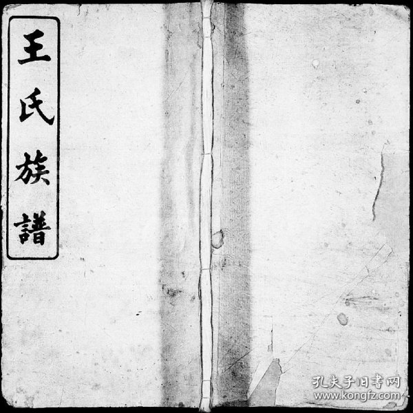 小魚(yú)兒一肖王中王興典，探索背后的故事與奧秘，小魚(yú)兒一肖王中王興典，背后的故事與奧秘揭秘