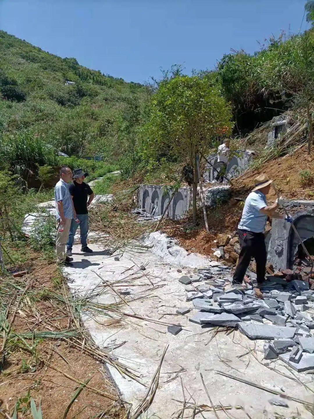 王中王一字一句拆一肖，深度解析背后的奧秘，王中王拆字揭秘，探尋背后奧秘揭曉生肖之謎