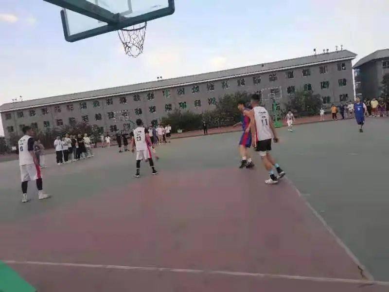 澳門二四六天下彩天天免費大全——全面解析澳門彩票文化，澳門彩票文化全面解析，二四六天下彩免費大全