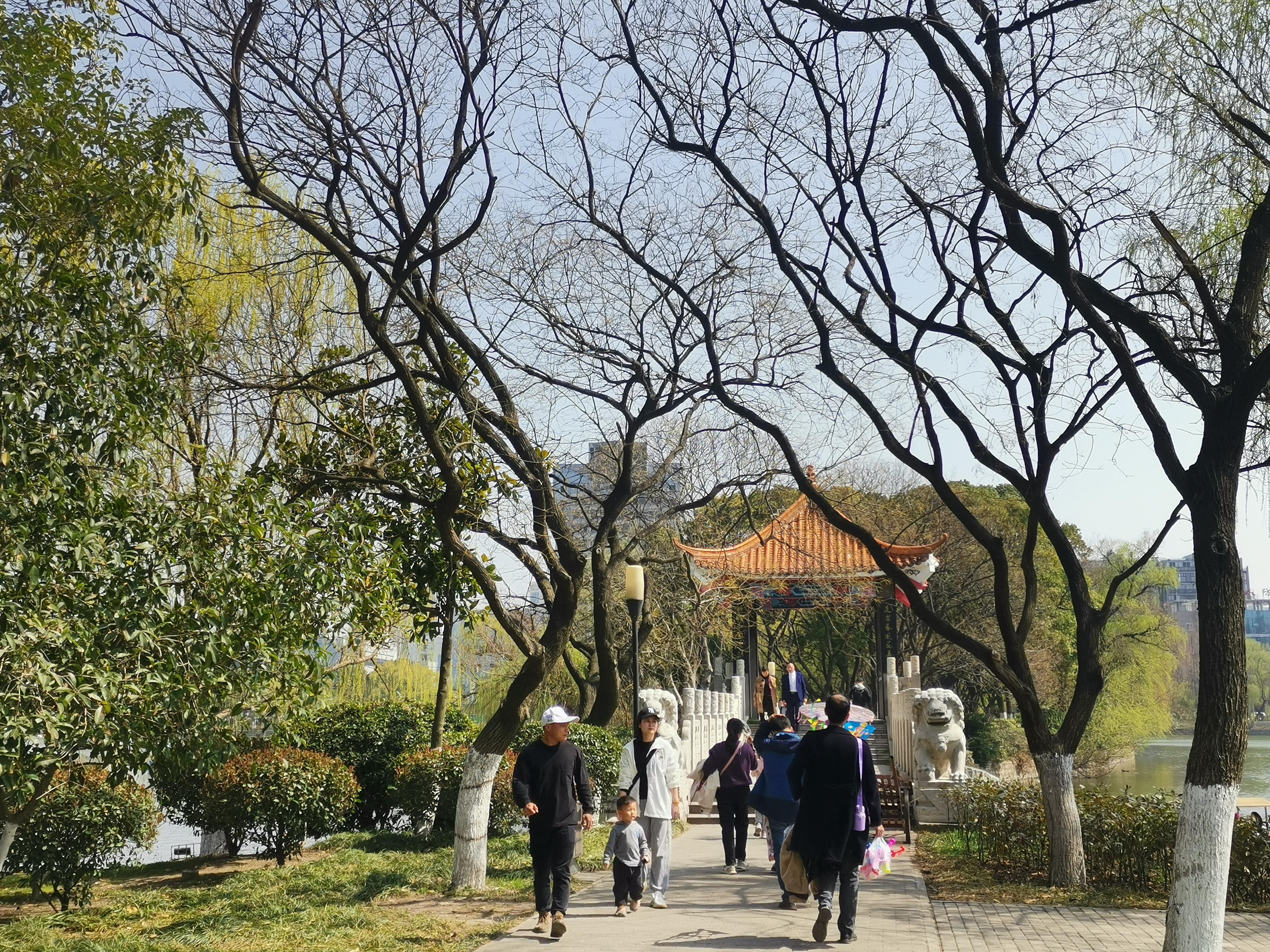 澳門75期最快天天開獎，揭秘彩票背后的秘密與策略，澳門75期天天開獎揭秘，彩票背后的秘密與策略探究