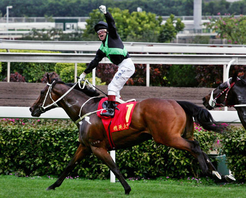 香港王中王一肖中特馬的奧秘與探索，香港王中王一肖中特馬的奧秘探索之旅