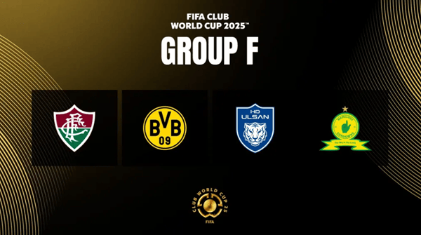 2025新澳正版資料精準(zhǔn)解析與預(yù)測，2025新澳正版資料精準(zhǔn)解析與趨勢預(yù)測