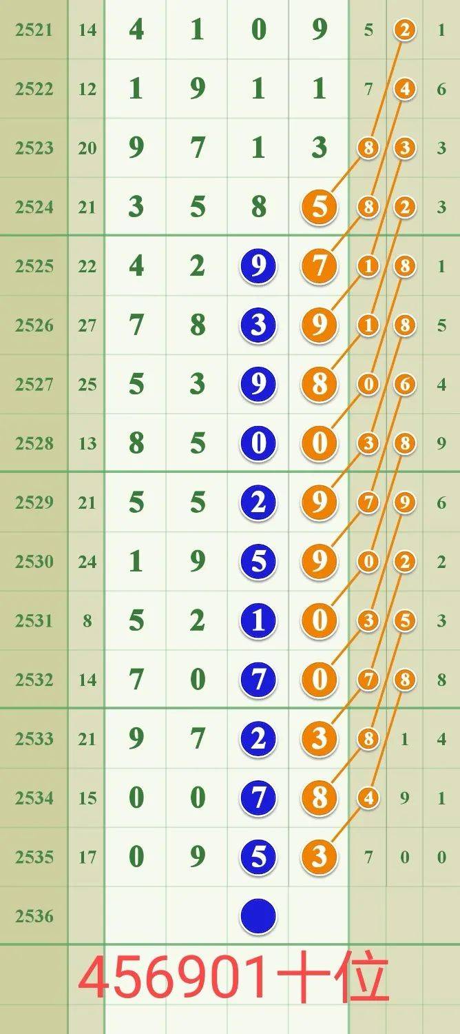 揭秘029期王中王平特一肖的神秘面紗，揭秘王中王平特一肖的神秘面紗