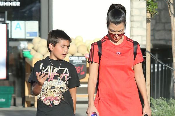 王中王兔費(fèi)一肖，揭秘背后的秘密與SEO策略，揭秘王中王兔費(fèi)預(yù)測背后的秘密與SEO策略