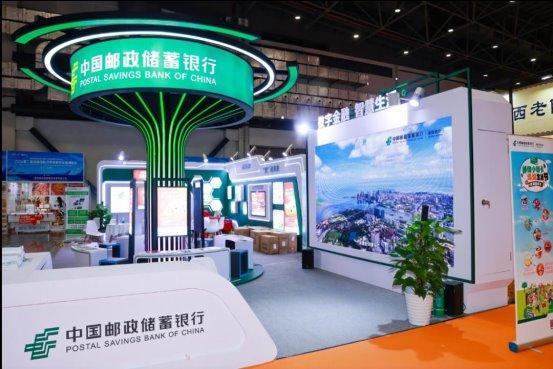 新澳2025今晚開獎資料詳解，新澳2025今晚開獎資料全面解析