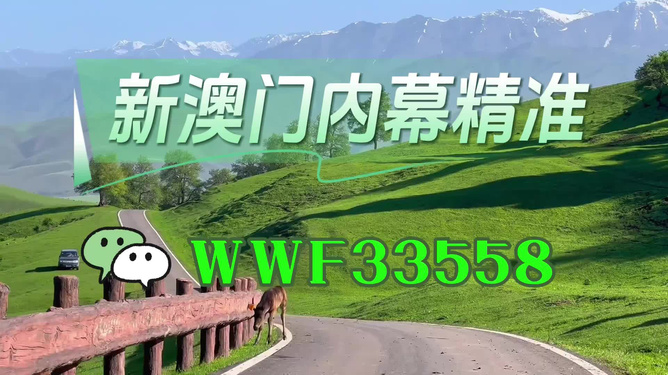 澳門精準免費大全，探索未來的預測與機遇（2025年展望），澳門未來展望，精準預測與機遇探索（2025年）