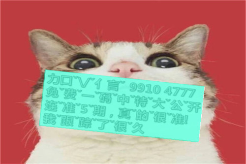 一肖啥意思，深度解析與SEO優(yōu)化文章，一肖含義深度解析與SEO優(yōu)化策略探討