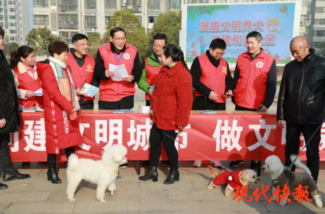 急先鋒澳門六肖，深度解析與探索，澳門六肖急先鋒，深度解析與探索