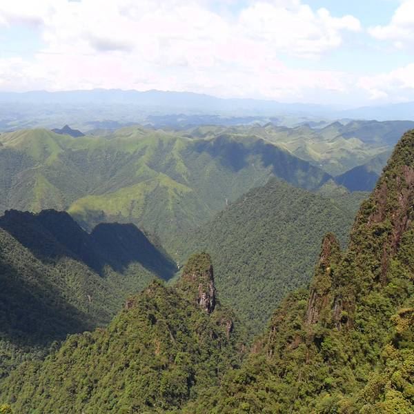莽山國家森林公園門票指南，探索自然之美的通行證，莽山國家森林公園門票指南，探索自然之美的通行證攻略