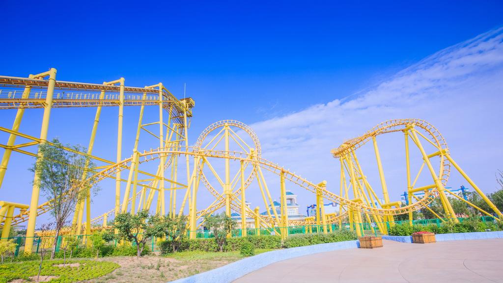 茂蜜森林中的王者，揭秘生肖之王——王中王打一生肖，森林霸主揭秘，生肖之王——王中王，所指生肖揭曉