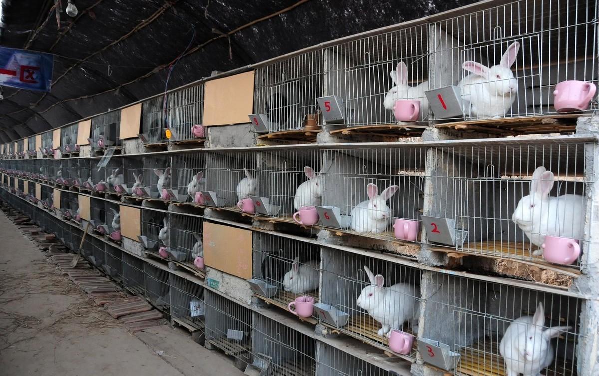 卵子排出后能存活多久，深入解析卵子生存時(shí)間與生育健康，卵子生存時(shí)間與生育健康，卵子排出后的存活時(shí)間解析