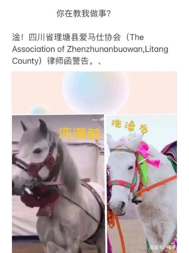 一馬爆特圖，揭秘背后的故事與SEO優(yōu)化策略，揭秘一馬爆特圖的背后故事與SEO優(yōu)化策略全攻略