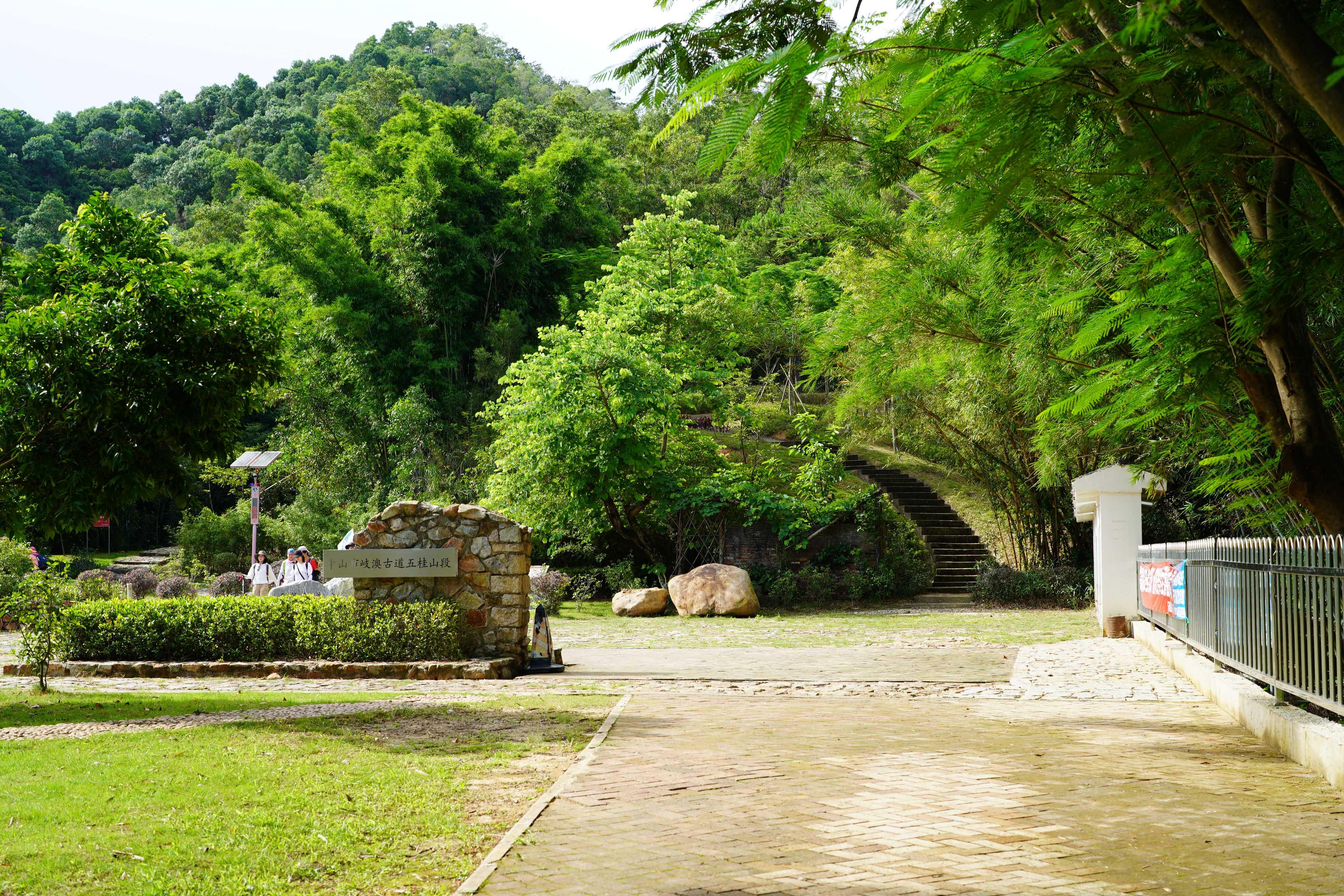 新奧門彩出號(hào)綜合走勢(shì)分析，新奧門彩出號(hào)綜合走勢(shì)解析