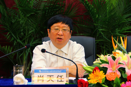 王中王資科一肖中持天，深度解析與SEO優(yōu)化策略，王中王資科一肖中持天深度解析與SEO優(yōu)化策略探討