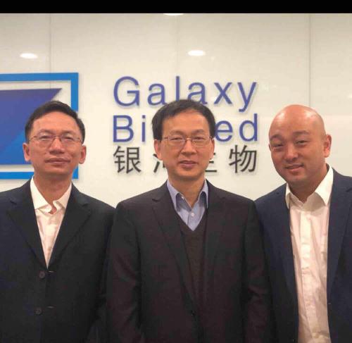 關(guān)于代碼000806的奧秘，深度解析與SEO優(yōu)化策略，代碼000806奧秘揭秘，深度解析與SEO優(yōu)化策略探討