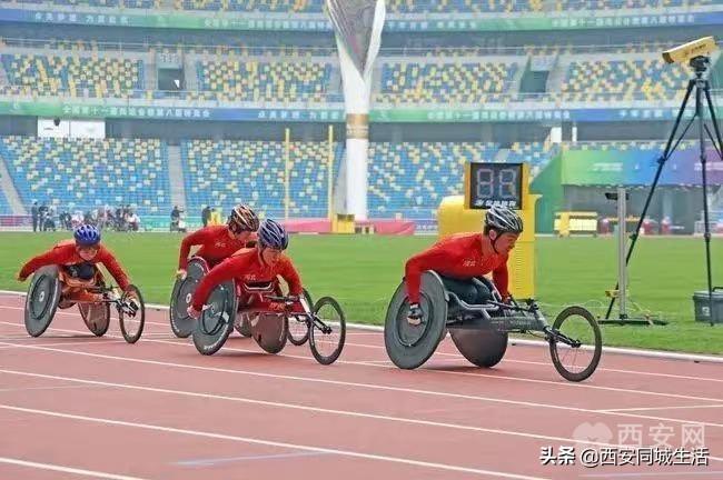 澳門精準(zhǔn)預(yù)測(cè)與免費(fèi)大全，探索未來的新澳門（2025展望），澳門未來展望，精準(zhǔn)預(yù)測(cè)與免費(fèi)大全（2025年展望）