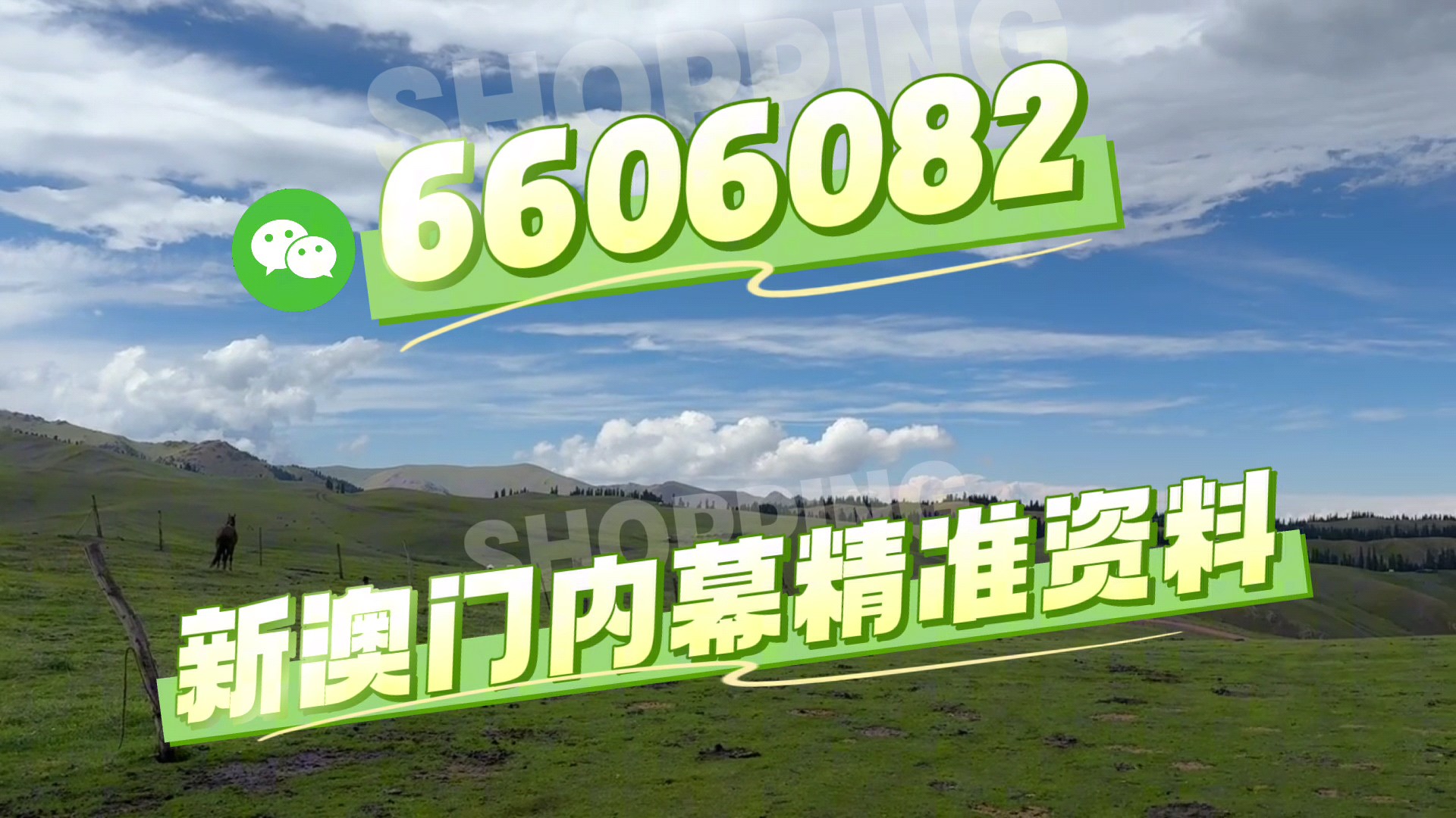 澳門今晚必開(kāi)一肖一碼，探索生肖彩票的魅力與策略，澳門生肖彩票探索，魅力與策略揭秘