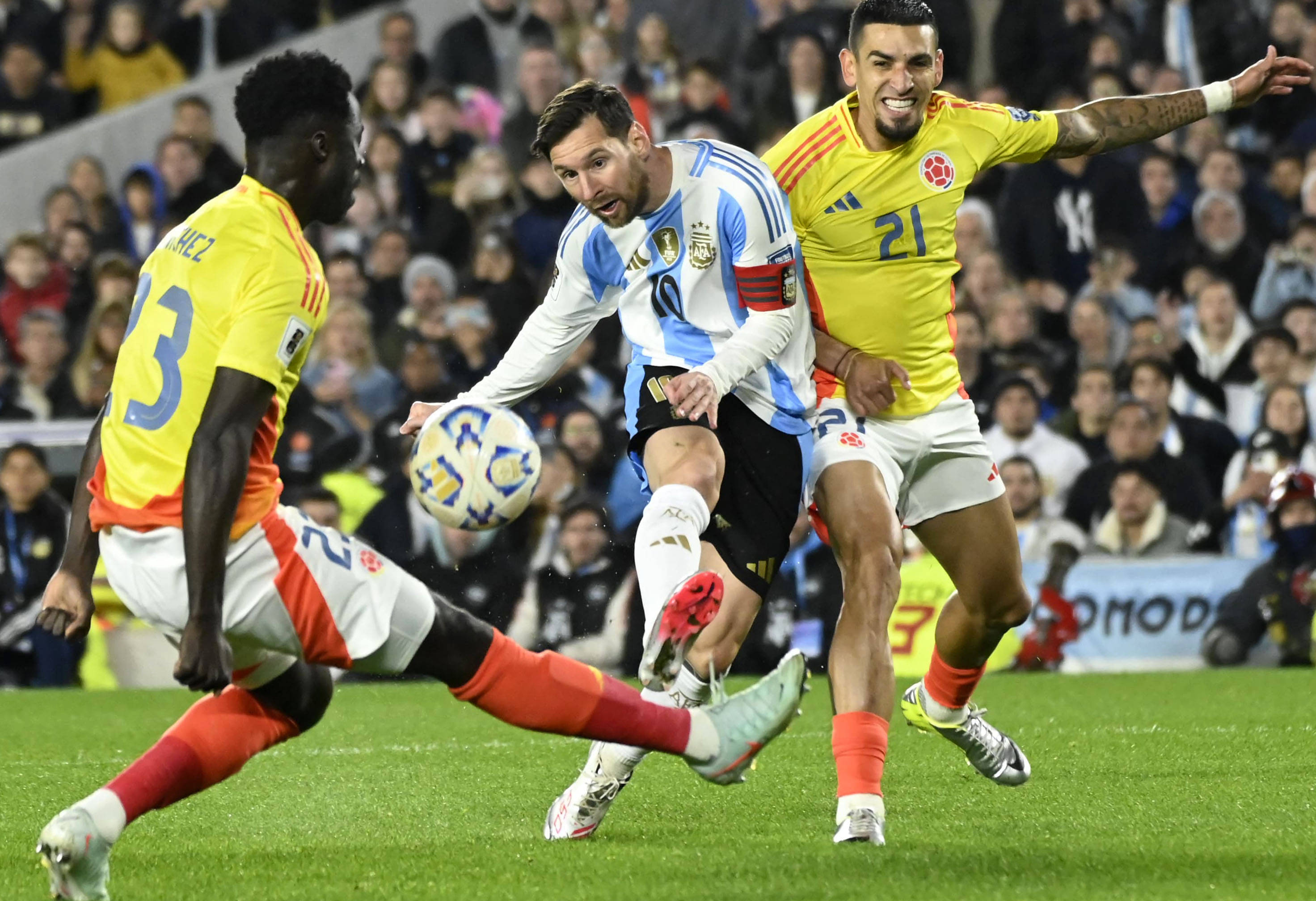 王中王077期一肖特種，深度解析與SEO優(yōu)化策略，王中王077期生肖特種深度解析與SEO優(yōu)化策略探討