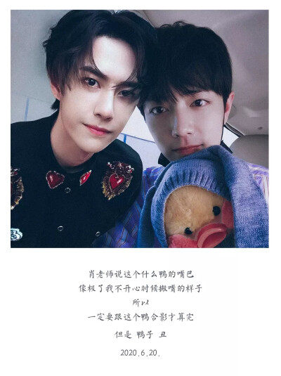 王中王一肖資料一肖王，深度解析與SEO優(yōu)化文章，王中王一肖資料深度解析與SEO優(yōu)化策略探討