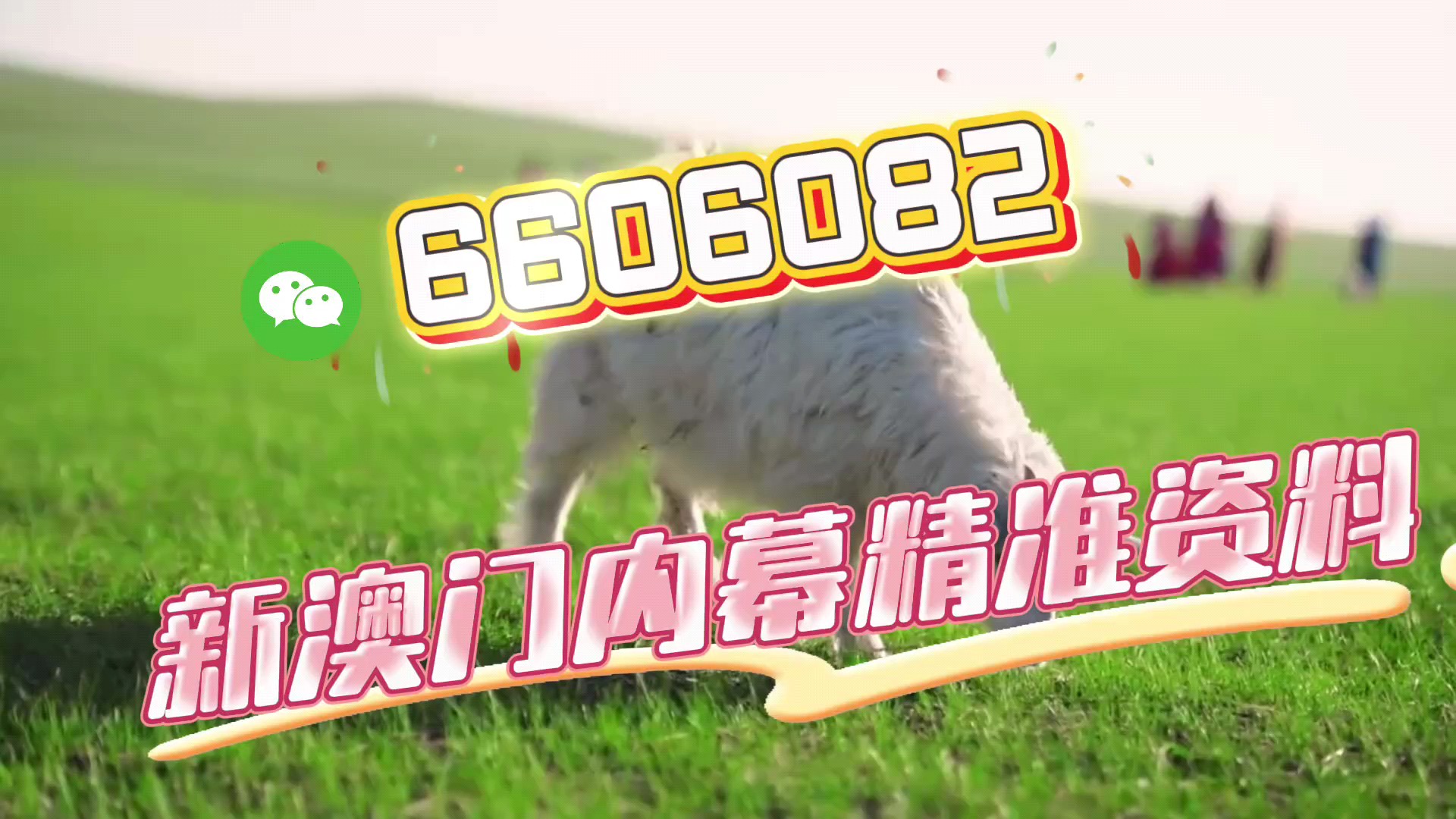 新澳門期期準(zhǔn)免費(fèi)期期準(zhǔn)，探索真實(shí)性與背后的秘密，澳門彩票背后的真實(shí)性與秘密探索