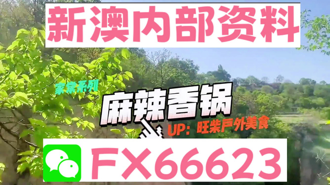 新澳精準(zhǔn)資料免費(fèi)提供，探索與實(shí)踐的指南，新澳精準(zhǔn)資料免費(fèi)分享，探索與實(shí)踐的導(dǎo)航指南