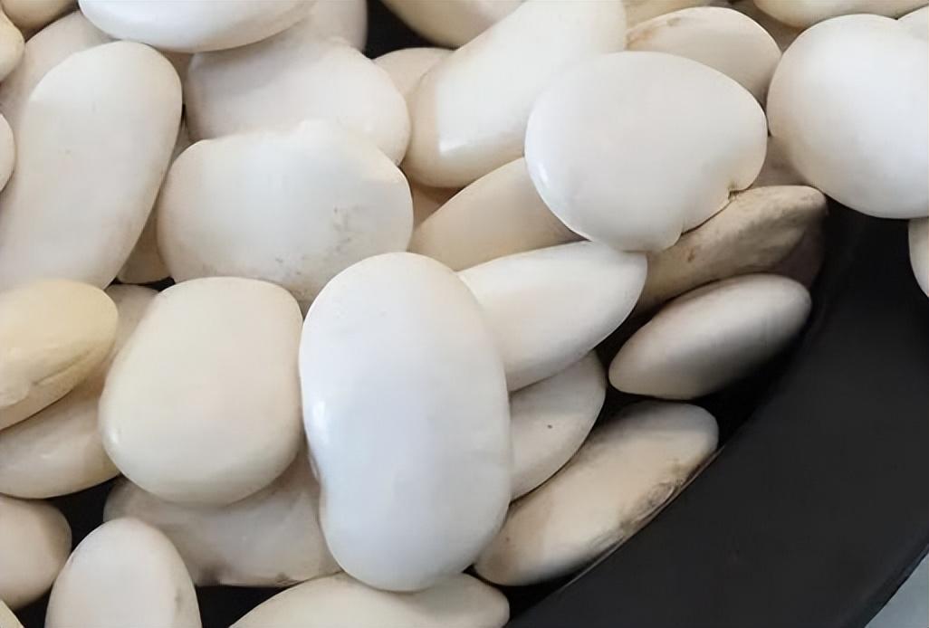 養(yǎng)胃又治胃病的食物，呵護你的胃健康，養(yǎng)胃治胃必備食物，呵護你的胃健康之道