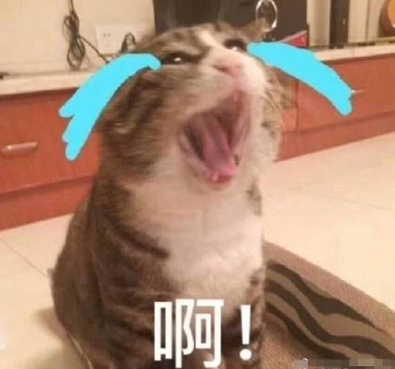 關(guān)于叫出來 我想聽的探討與分享，關(guān)于叫出來 我想聽的的探討與分享