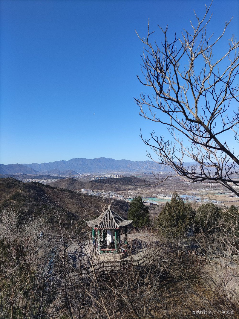 百望山森林公園，自然之美的獨特體驗，百望山森林公園，自然之美的獨特探險之旅