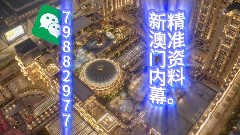 新澳門精準三肖三碼中特，探索澳門博彩文化的獨特魅力，澳門博彩文化獨特魅力探索，精準三肖三碼中特