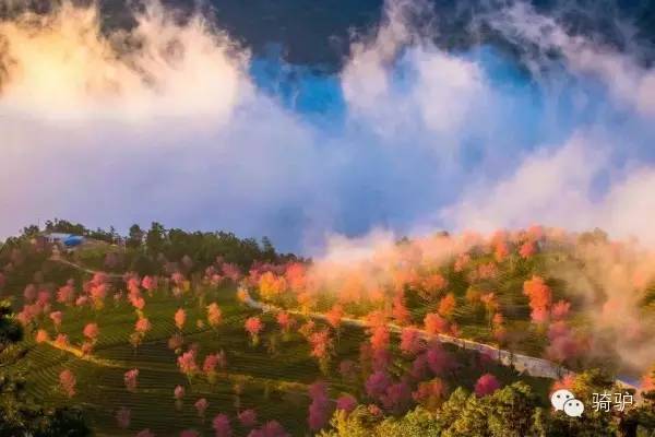 十一月與十二月，這些旅游勝地等你來(lái)探索！，十一月與十二月旅游勝地探秘之旅！