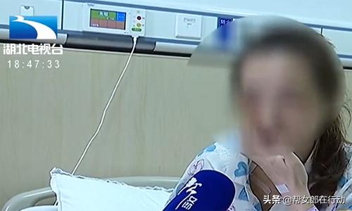 一肖中賠解析，深度探討背后的機制與策略，一肖中賠解析，深度探究機制與策略之道