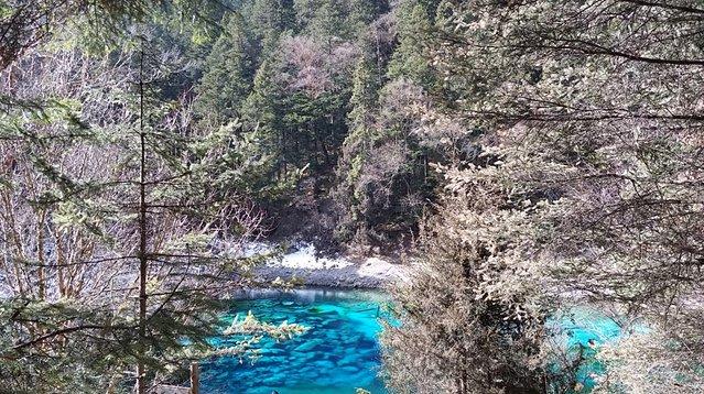 重慶到九寨溝跟團(tuán)游價(jià)格全解析，重慶到九寨溝跟團(tuán)游費(fèi)用全面解析