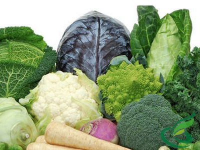 五種可止瀉的蔬菜，天然健康的止瀉良方，五種天然蔬菜止瀉良方，健康有效的止瀉選擇